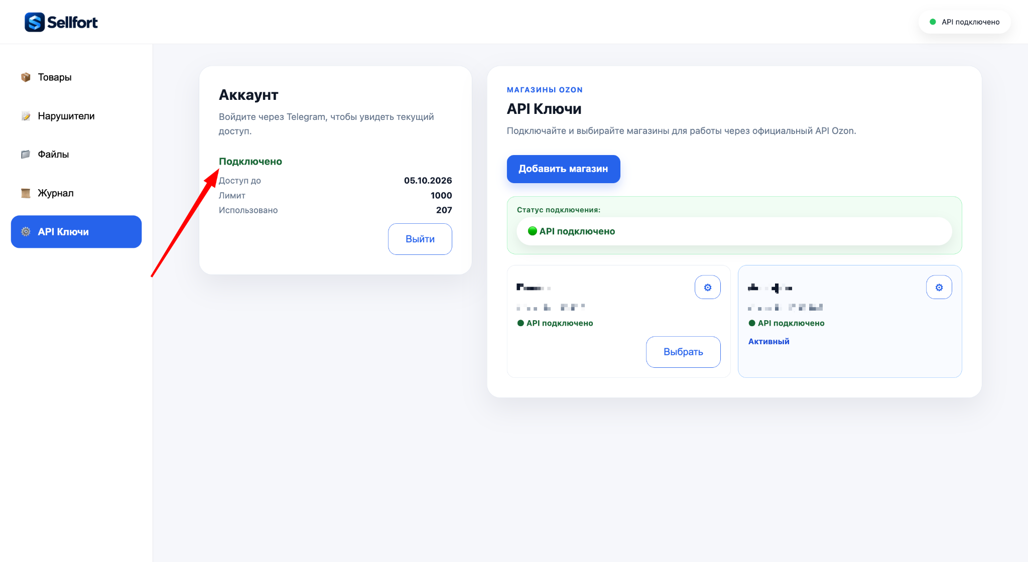 Подключённый магазин и зелёный статус API подключено в Sellfort